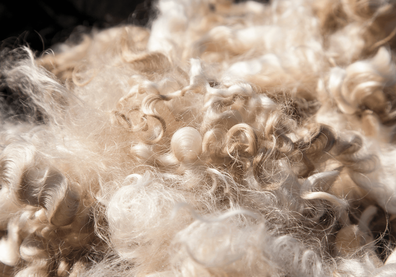 Why New Zealand Wool Makes the Best Bedding Material - INNATURE