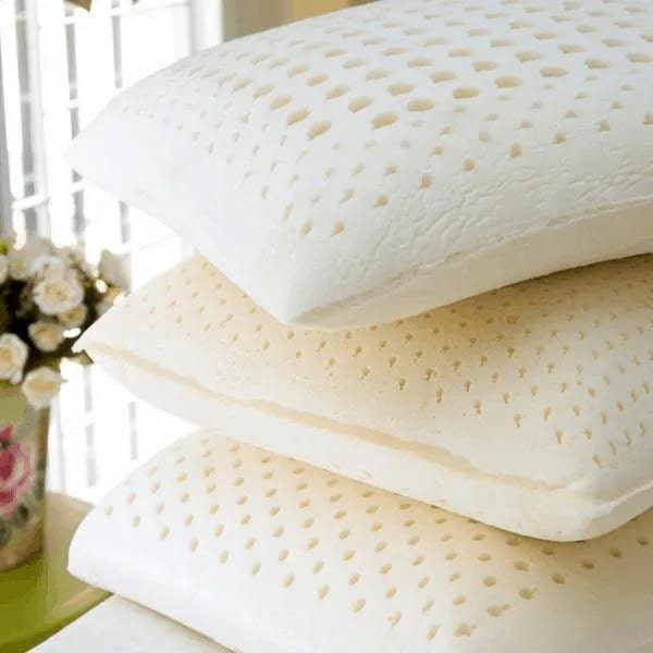 100 Organic Natural Latex Pillows