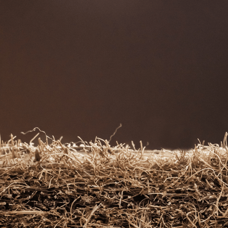 Coconut Coir Fibre - INNATURE