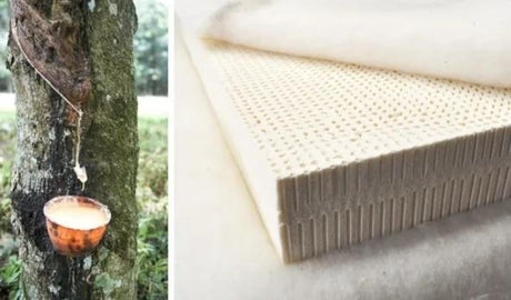 INNATURE Organic Latex Mattress for Teenagers - Medium - INNATURE